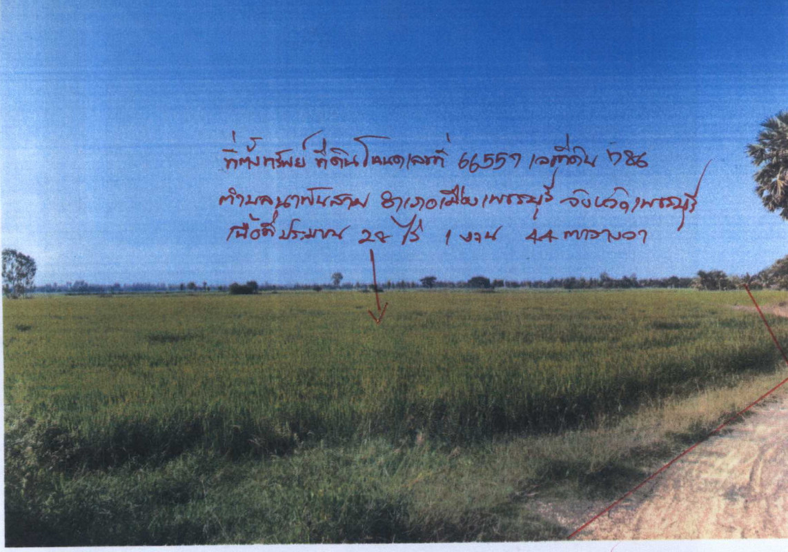 ที่ดินเปล่า เพชรบุรี เมืองเพชรบุรี หนองพลับ 7940800