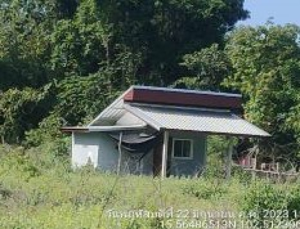 บ้านเดี่ยว นครราชสีมา บัวใหญ่ กุดจอก 475800
