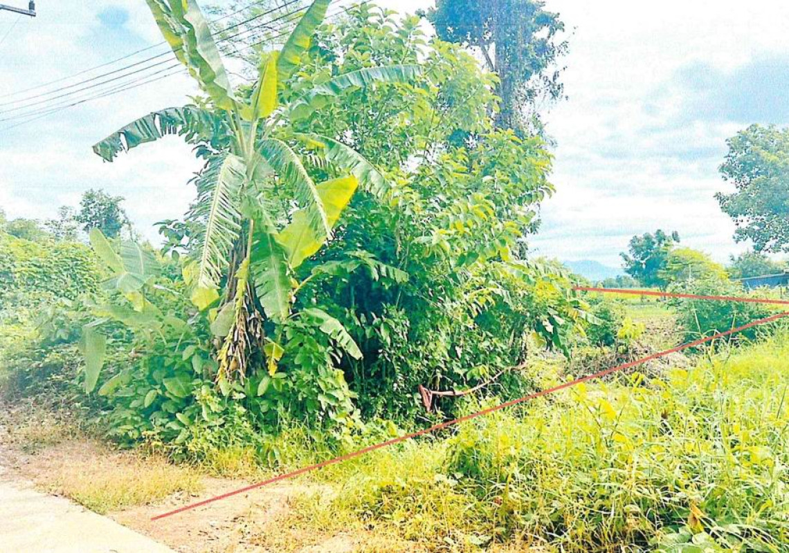 ที่ดินเปล่า สุโขทัย เมืองสุโขทัย บ้านหลุม 267124