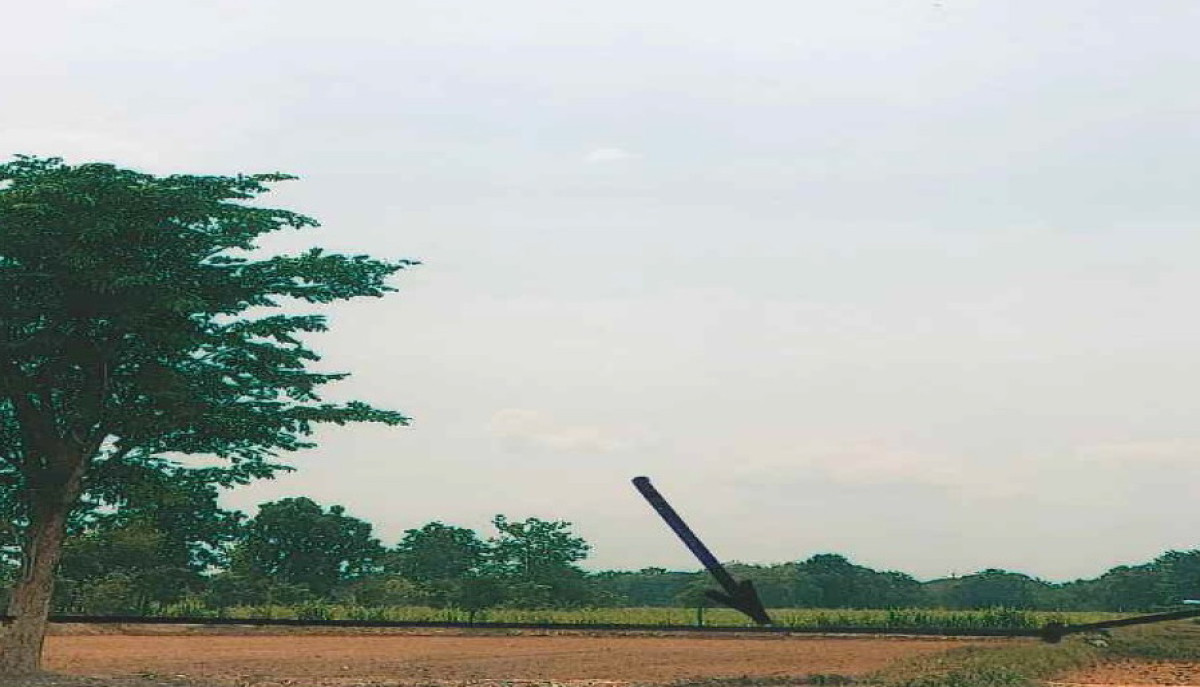 ที่ดินเปล่า บุรีรัมย์ ลำปลายมาศ บุโพธิ์ 175500