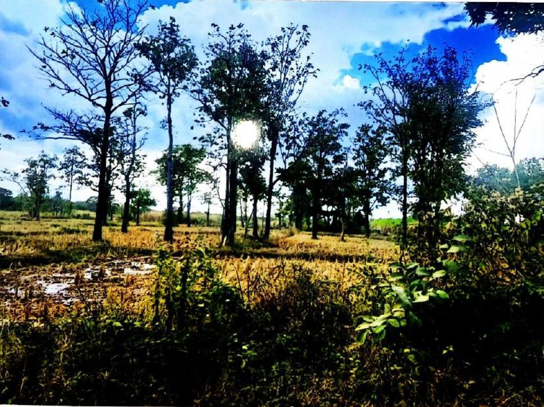 ที่ดินเปล่า สกลนคร เมืองสกลนคร เชียงเครือ 51000