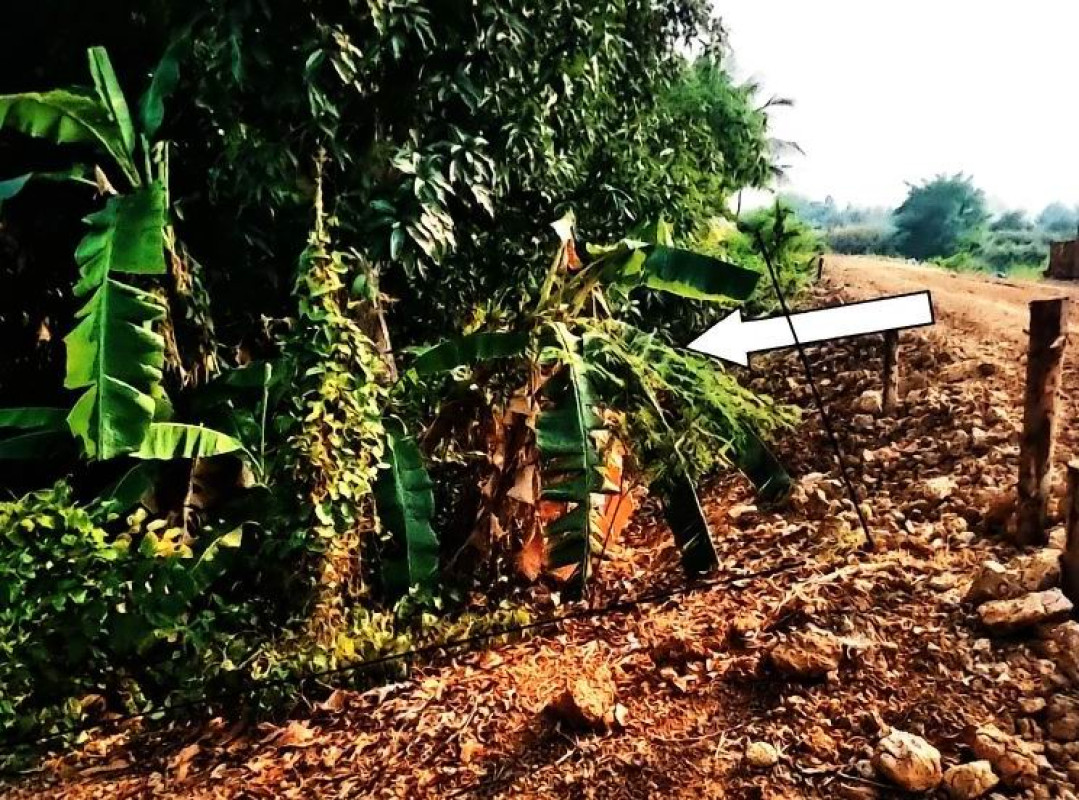 ที่ดินเปล่า สุโขทัย เมืองสุโขทัย ยางซ้าย 51350
