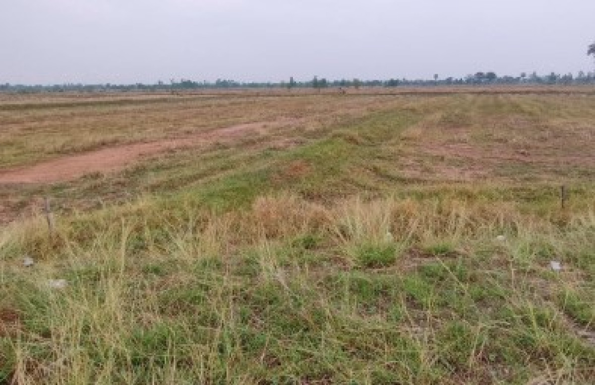 Residential land/lot Nakhon Ratchasima Bua Yai Non Thong Lang 112400