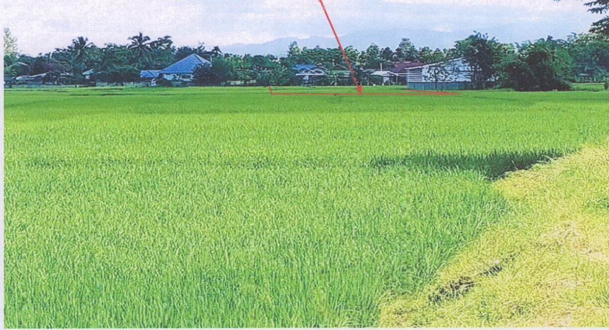 ที่ดินเปล่า เชียงราย เวียงป่าเป้า เวียง 60750