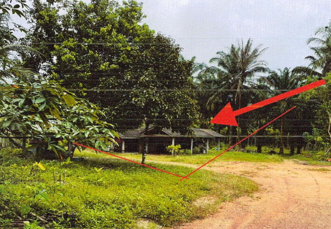 บ้านเดี่ยว กระบี่ เขาพนม เขาพนม 333120