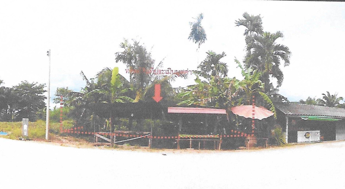 Residential land/lot Krabi Khlong Thom Phru Din Na 202500