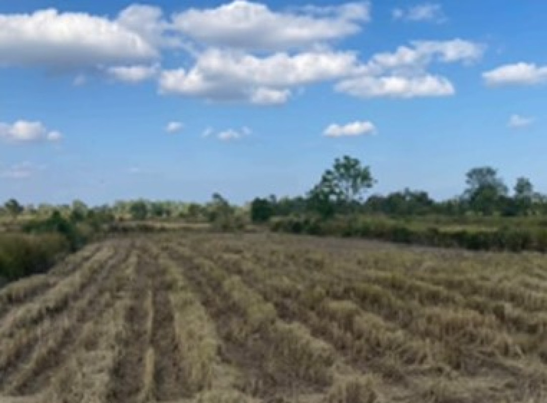 Residential land/lot Nakhon Phanom That Phanom Nam Kam 347550