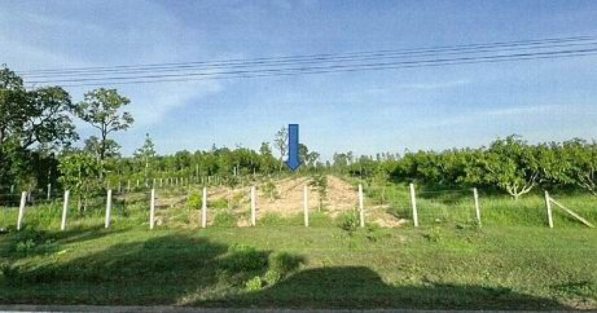 บ้านเดี่ยว สกลนคร พังโคน ต้นผึ้ง 579580