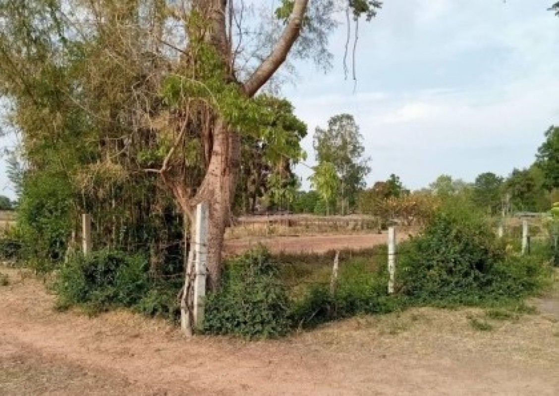 ที่ดินเปล่า นครราชสีมา ประทาย วังไม้แดง 68700