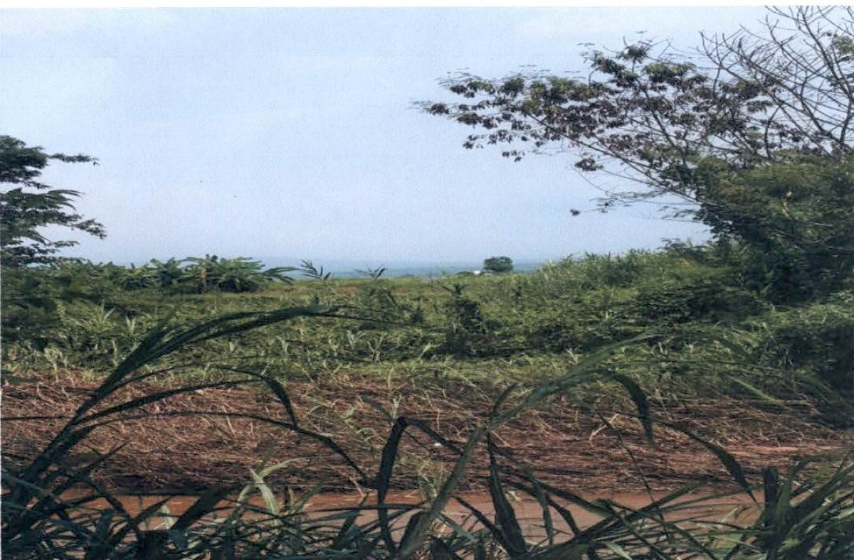 Residential land/lot Chiang Rai Wiang Pa Pao Wiang Kalong 3163550