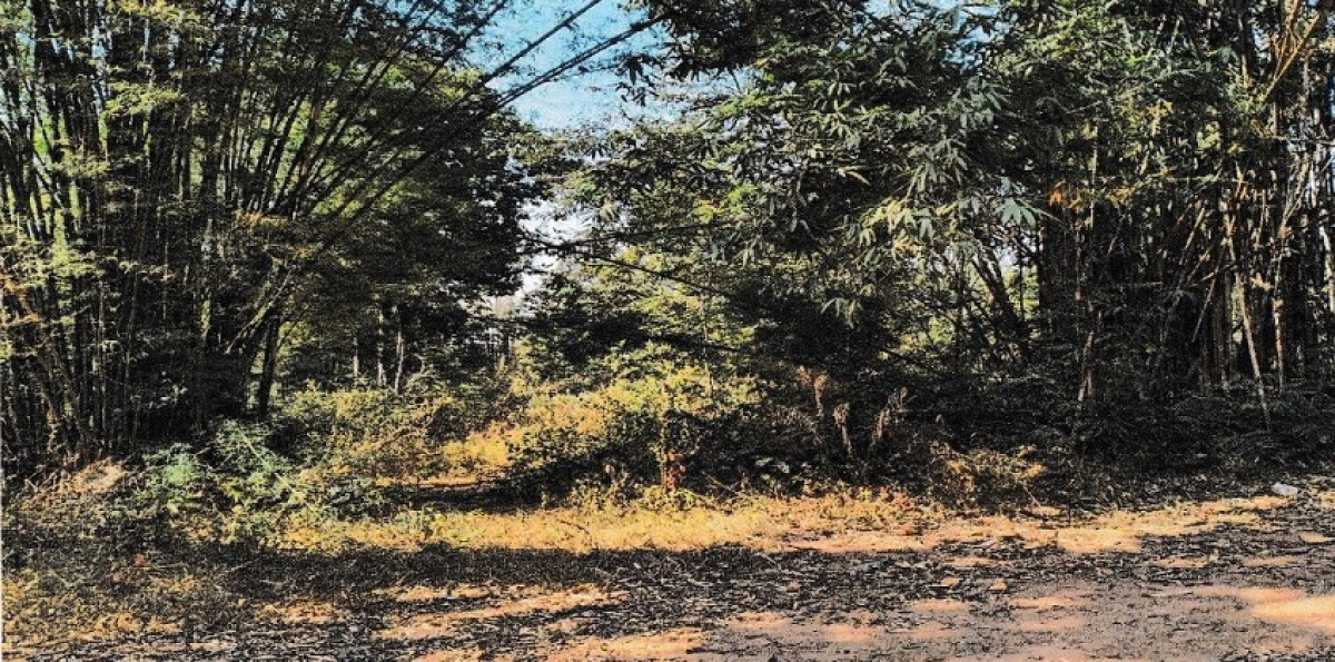 Residential land/lot Chiang Rai Mueang Chiang Rai Doi Lan 312000