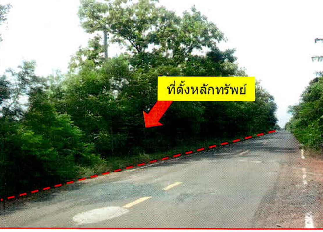 ที่ดินเปล่า อุบลราชธานี ม่วงสามสิบ ยางโยภาพ 6247500