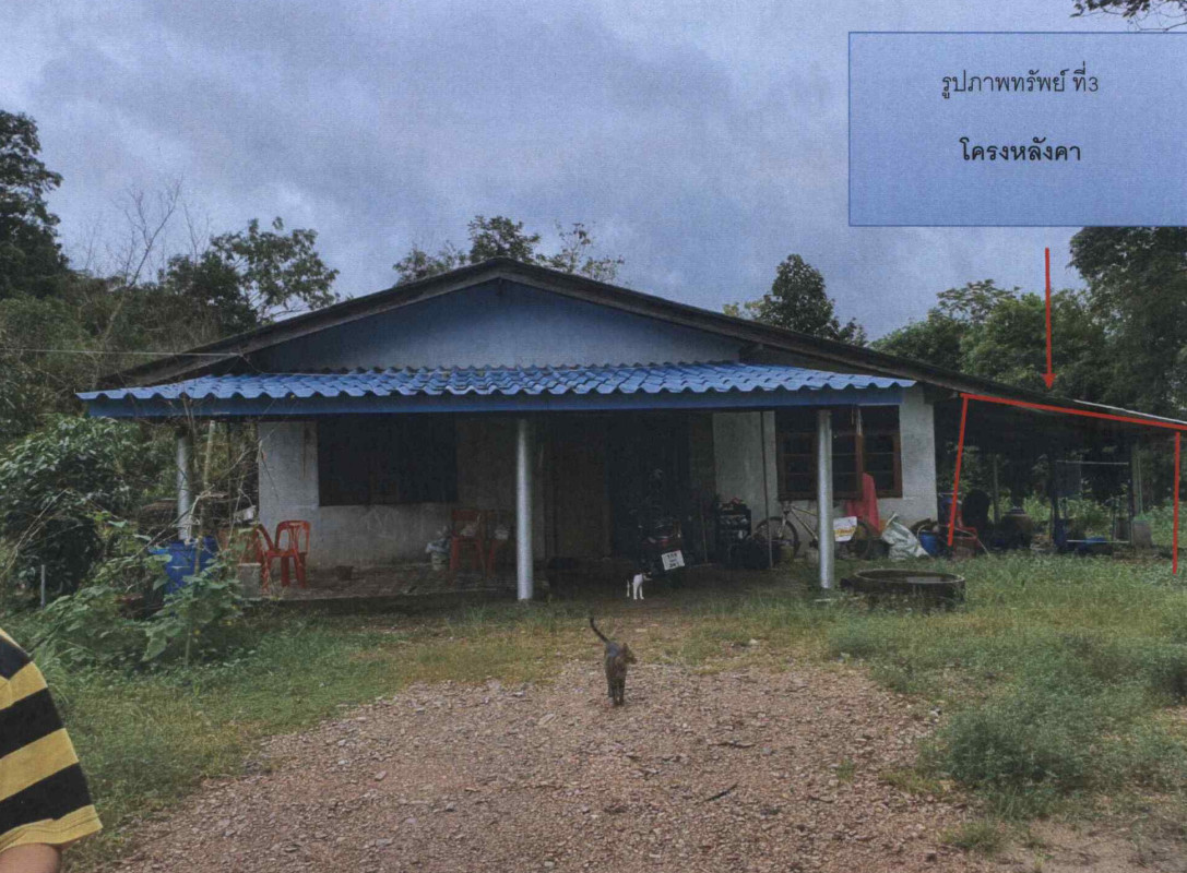 บ้านเดี่ยว จันทบุรี แหลมสิงห์ หนองชิ่ม 875870