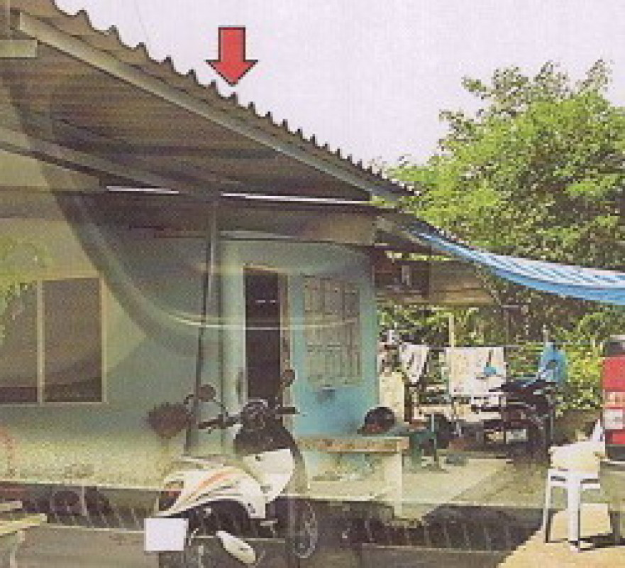บ้านเดี่ยว ตรัง เมืองตรัง โคกหล่อ 357670