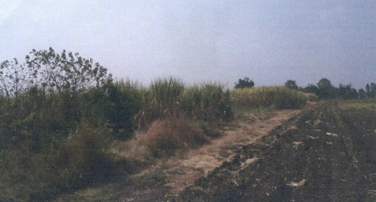 Residential land/lot Phetchabun Si Thep Sa Kruat 504000