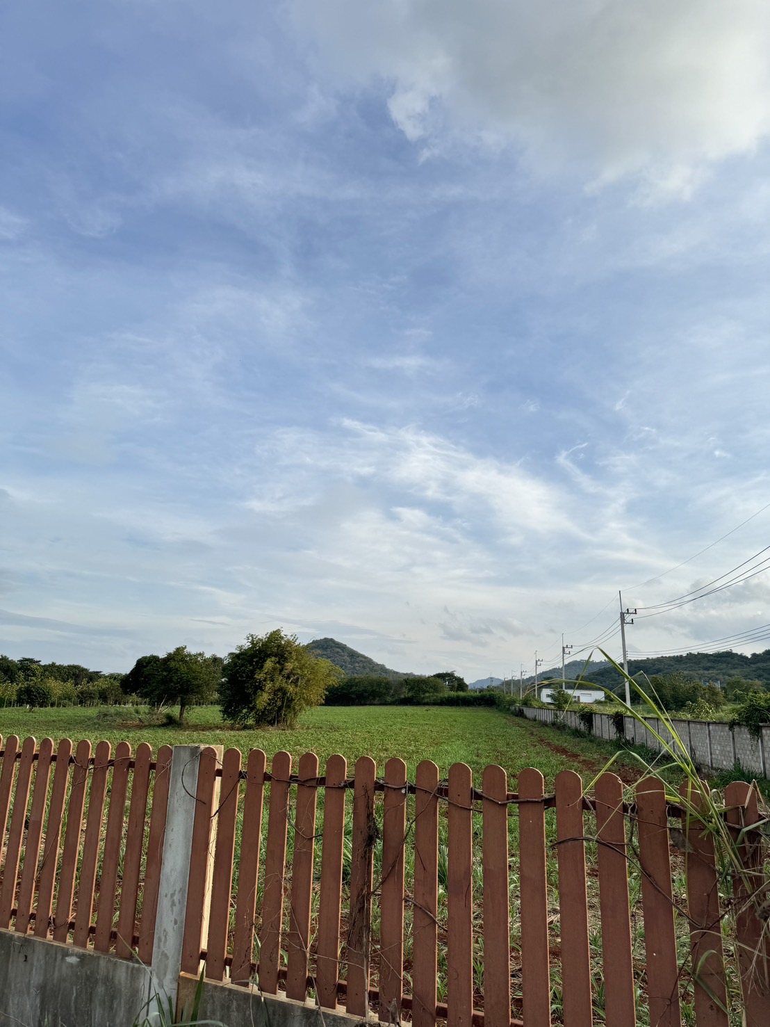 ที่ดินเปล่า นครราชสีมา ปากช่อง หนองน้ำแดง 52000000