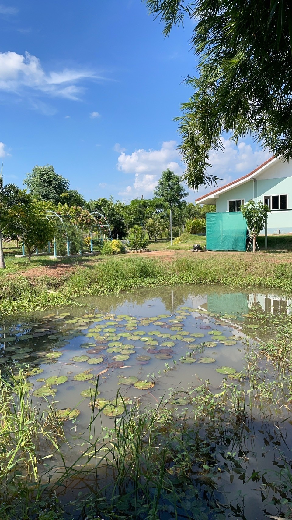 ที่ดินเปล่า ลพบุรี พัฒนานิคม โคกสลุง 3200000