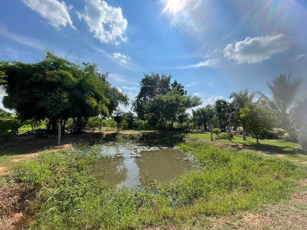 ที่ดินเปล่า ลพบุรี พัฒนานิคม โคกสลุง 3200000