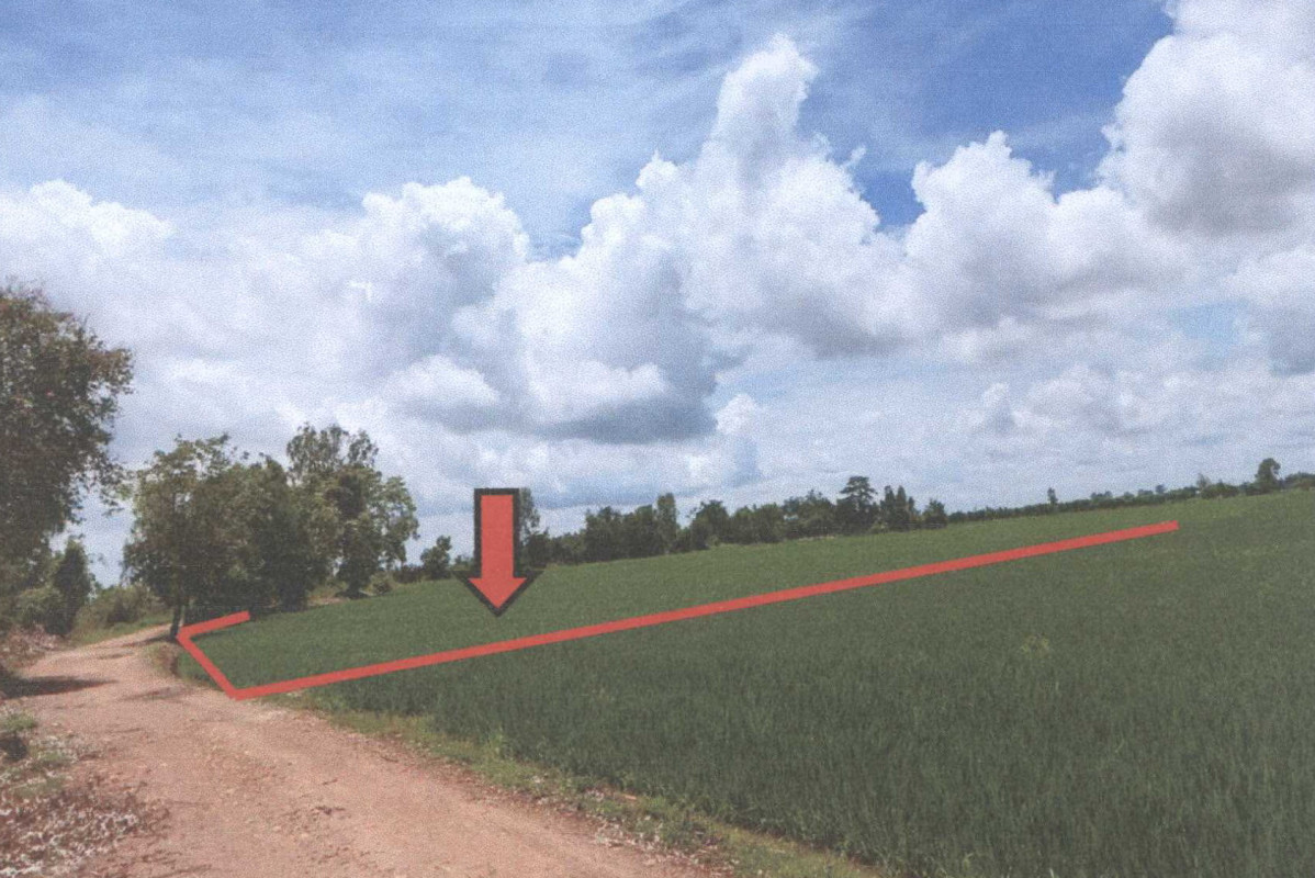 ที่ดินเปล่า อุตรดิตถ์ ตรอน บ้านแก่ง 408200
