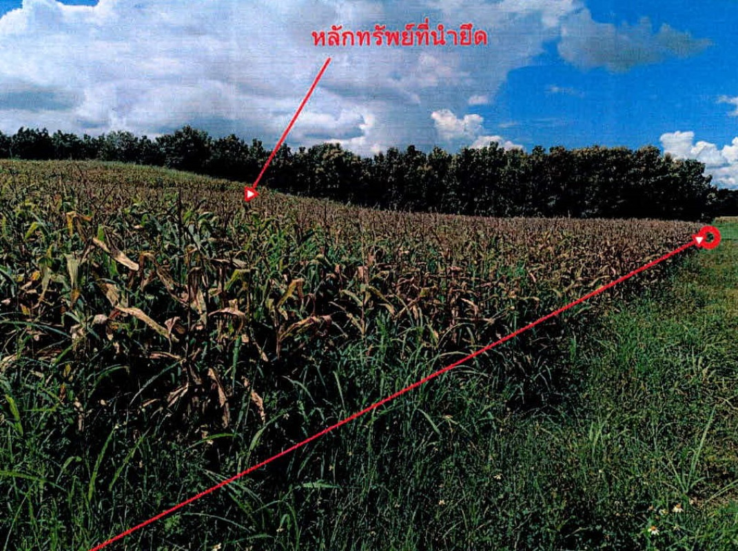 ที่ดินเปล่า ลำปาง วังเหนือ ร่องเคาะ 376600