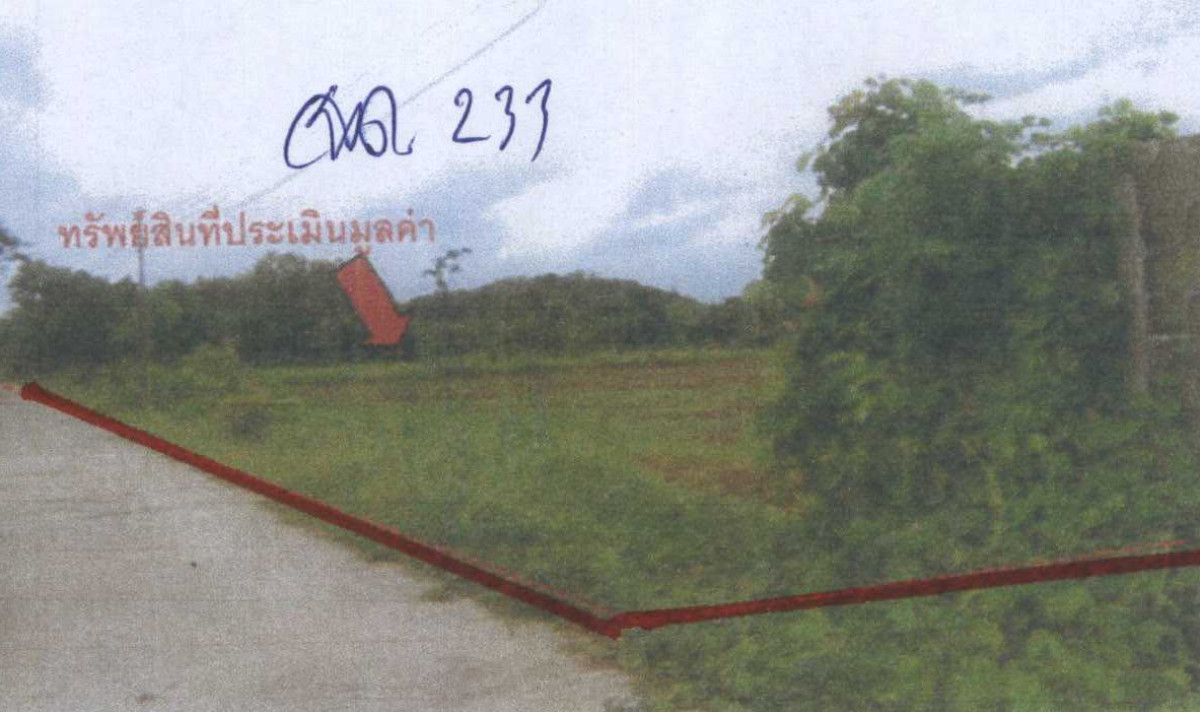 บ้านเดี่ยว อุตรดิตถ์ ตรอน วังแดง 1873650