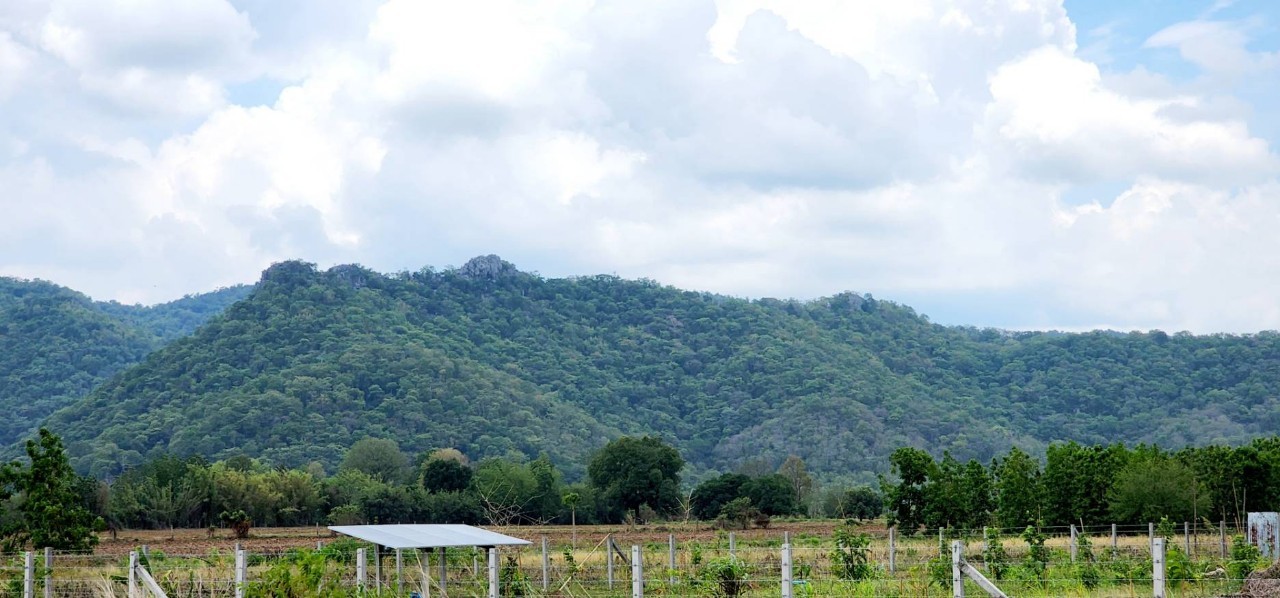 ที่ดินเปล่า สระบุรี แก่งคอย ท่าคล้อ 2700000