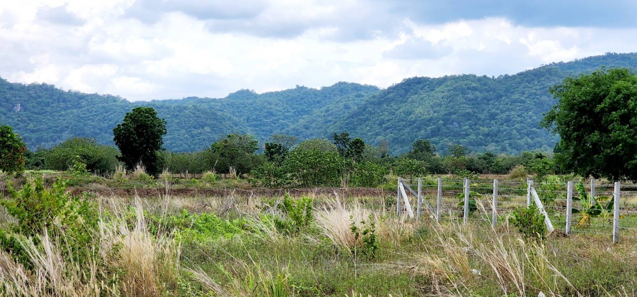 ที่ดินเปล่า สระบุรี แก่งคอย ท่าคล้อ 2700000