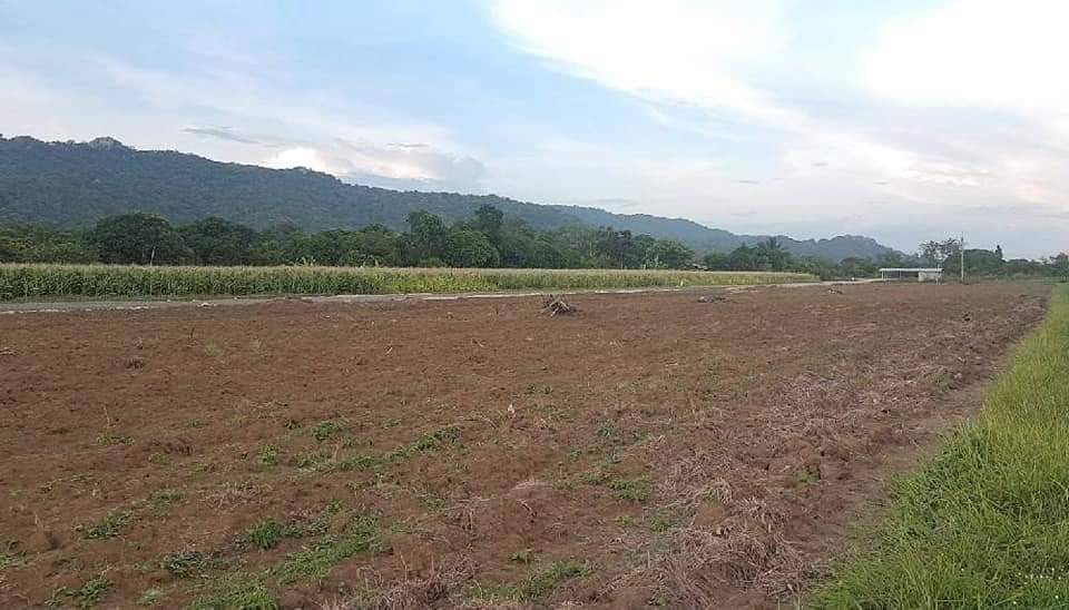 ที่ดินเปล่า สระบุรี แก่งคอย ท่าคล้อ 2700000