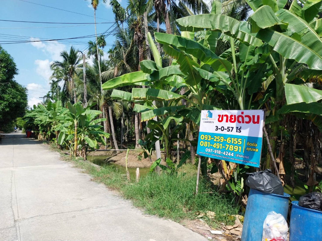 Residential land/lot Nakhon Pathom Sam Phran Tha Talat 10599500