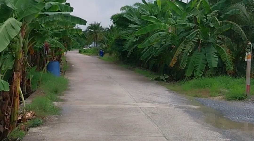 Residential land/lot Nakhon Pathom Sam Phran Tha Talat 10599500