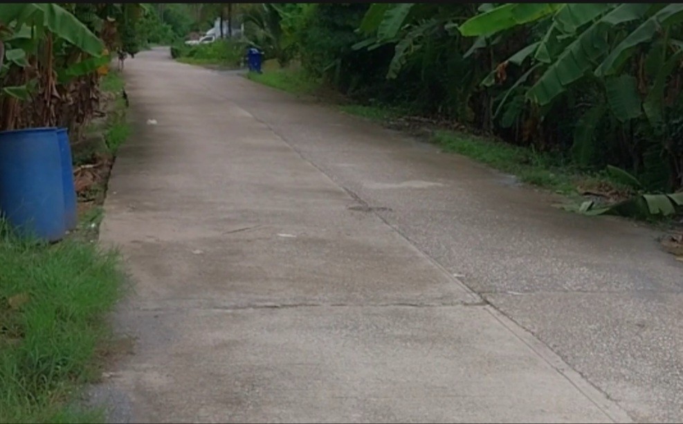 Residential land/lot Nakhon Pathom Sam Phran Tha Talat 10599500
