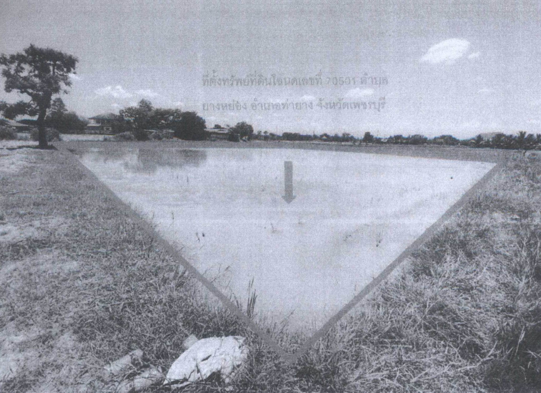 ที่ดินเปล่า เพชรบุรี ท่ายาง ยางหย่อง 200000