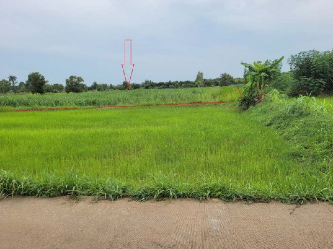 Residential land/lot Kalasin Kuchinarai Sam Kha 460000