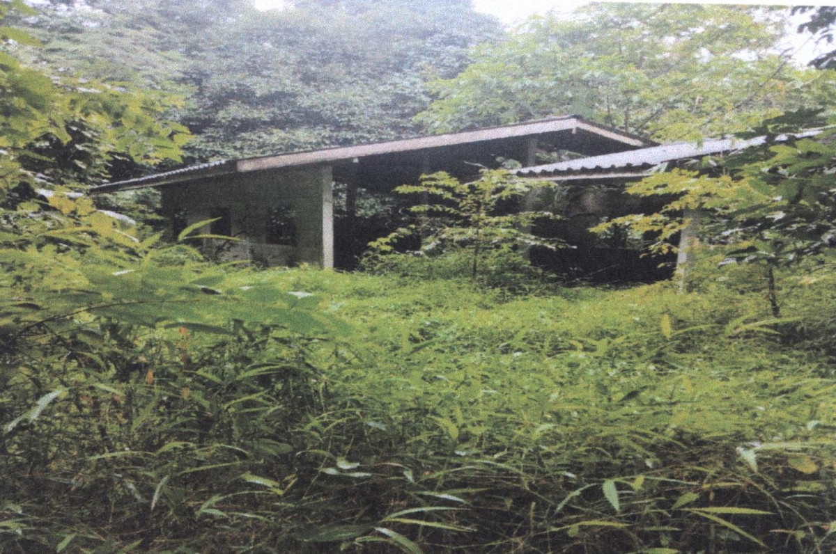 บ้านเดี่ยว ตรัง ย่านตาขาว หนองบ่อ 534725