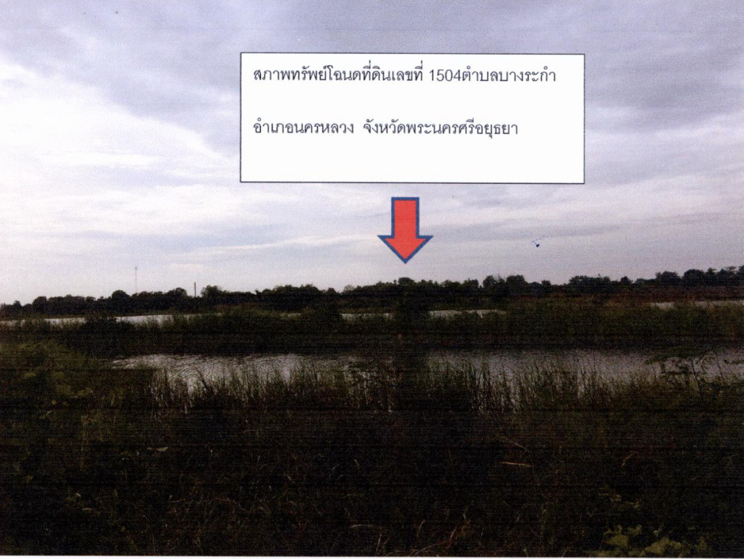 ที่ดินเปล่า พระนครศรีอยุธยา นครหลวง บางระกำ 703950