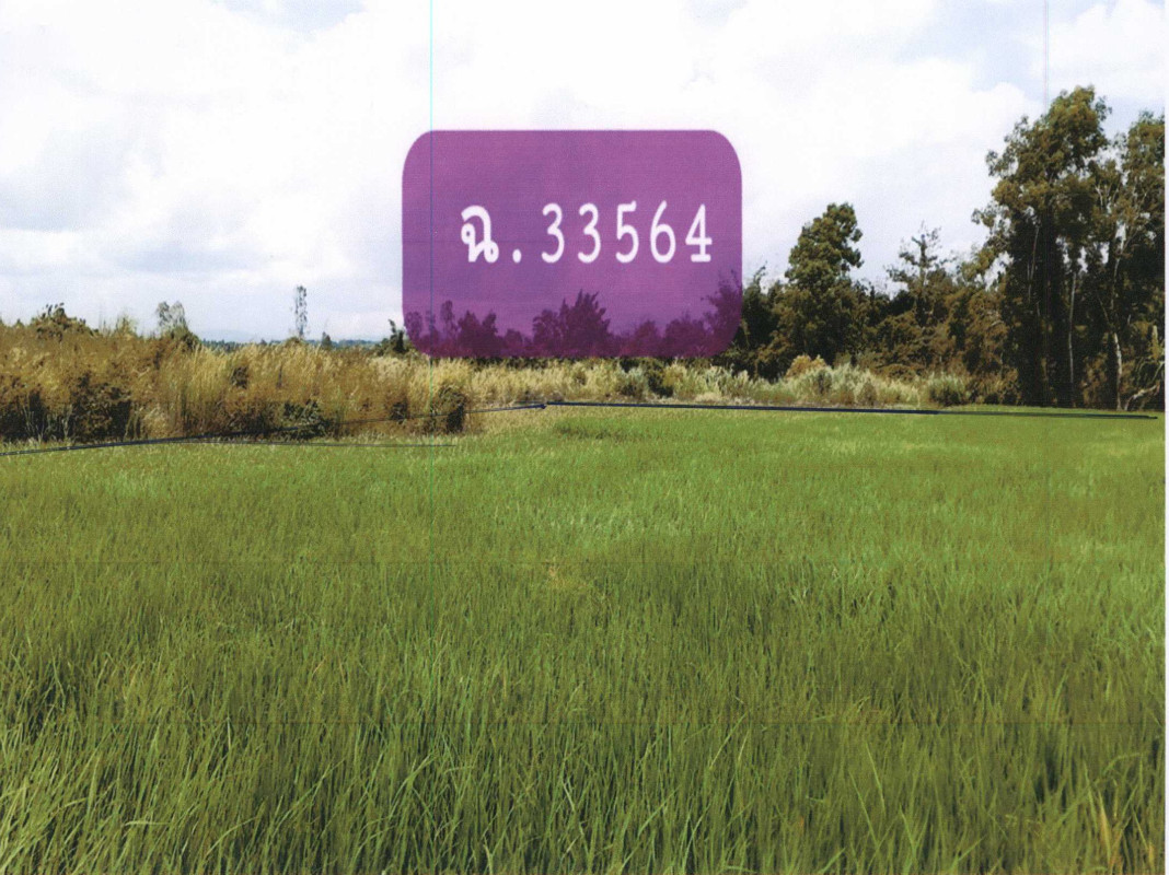 Residential land/lot Chiang Rai Thoeng Chiang Khian 331020