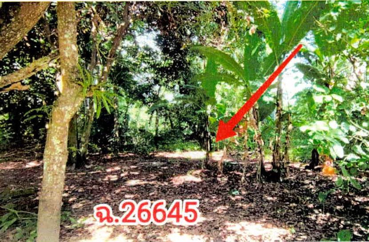 ที่ดินเปล่า ลำปาง วังเหนือ วังใต้ 145250