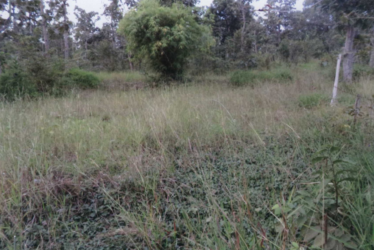 ที่ดินเปล่า อุบลราชธานี ตระการพืชผล นาสะไม 541650