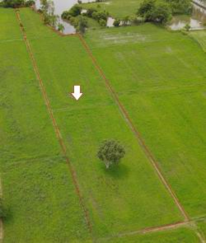 Residential land/lot Ubon Ratchathani Samrong Khok Kong 296438