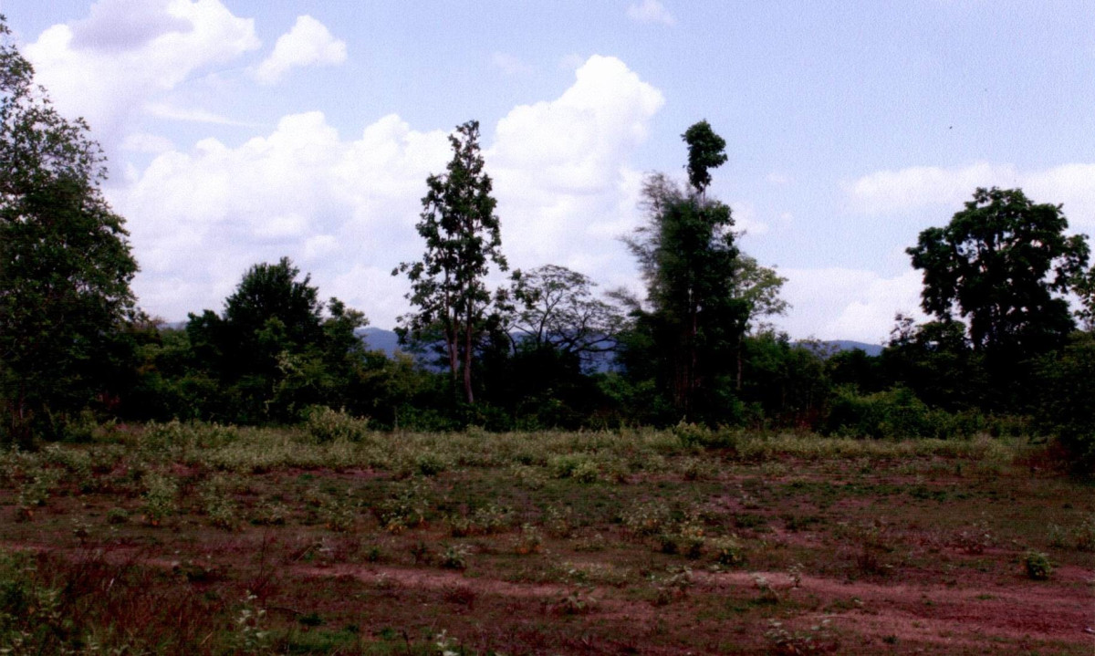 Residential land/lot Lampang Thoen Lom Raet 175700