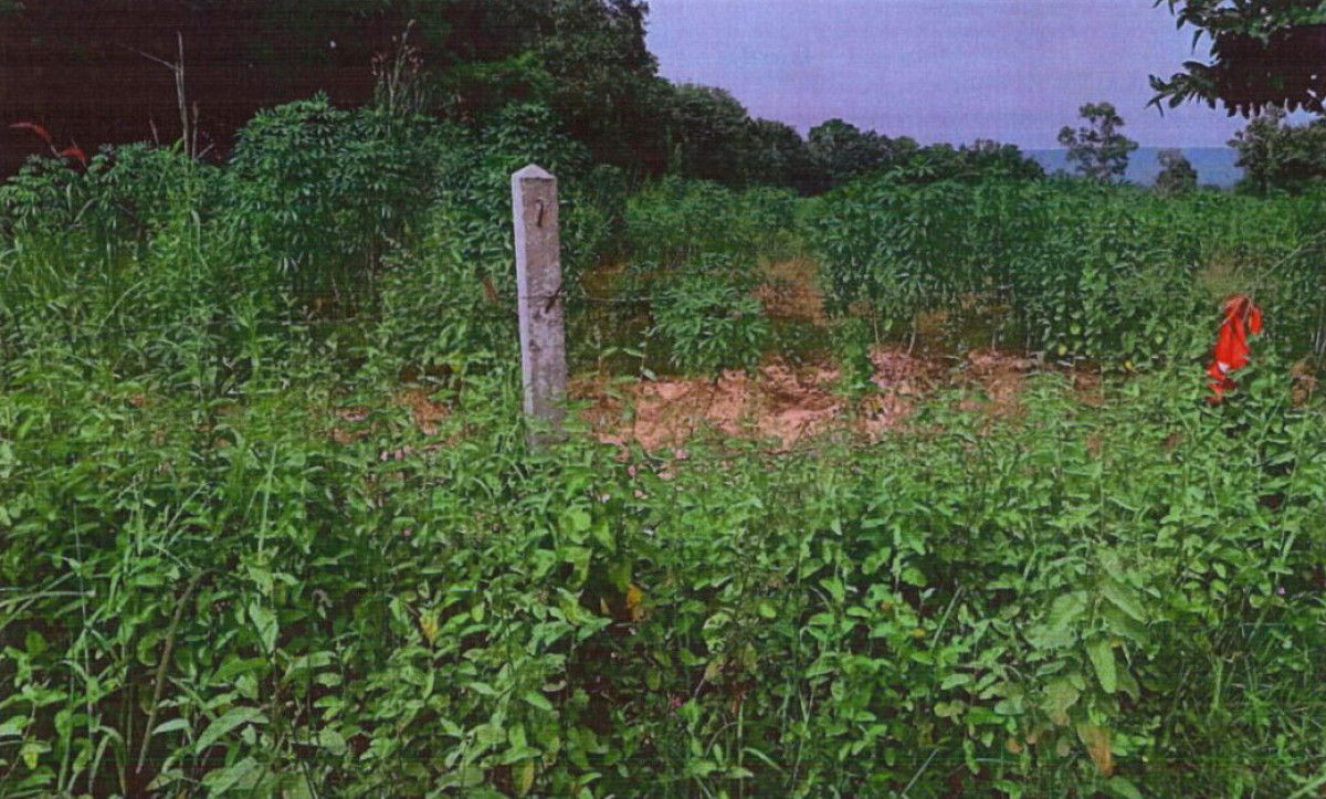 ที่ดินเปล่า หนองบัวลำภู โนนสัง ปางกู่ 842600
