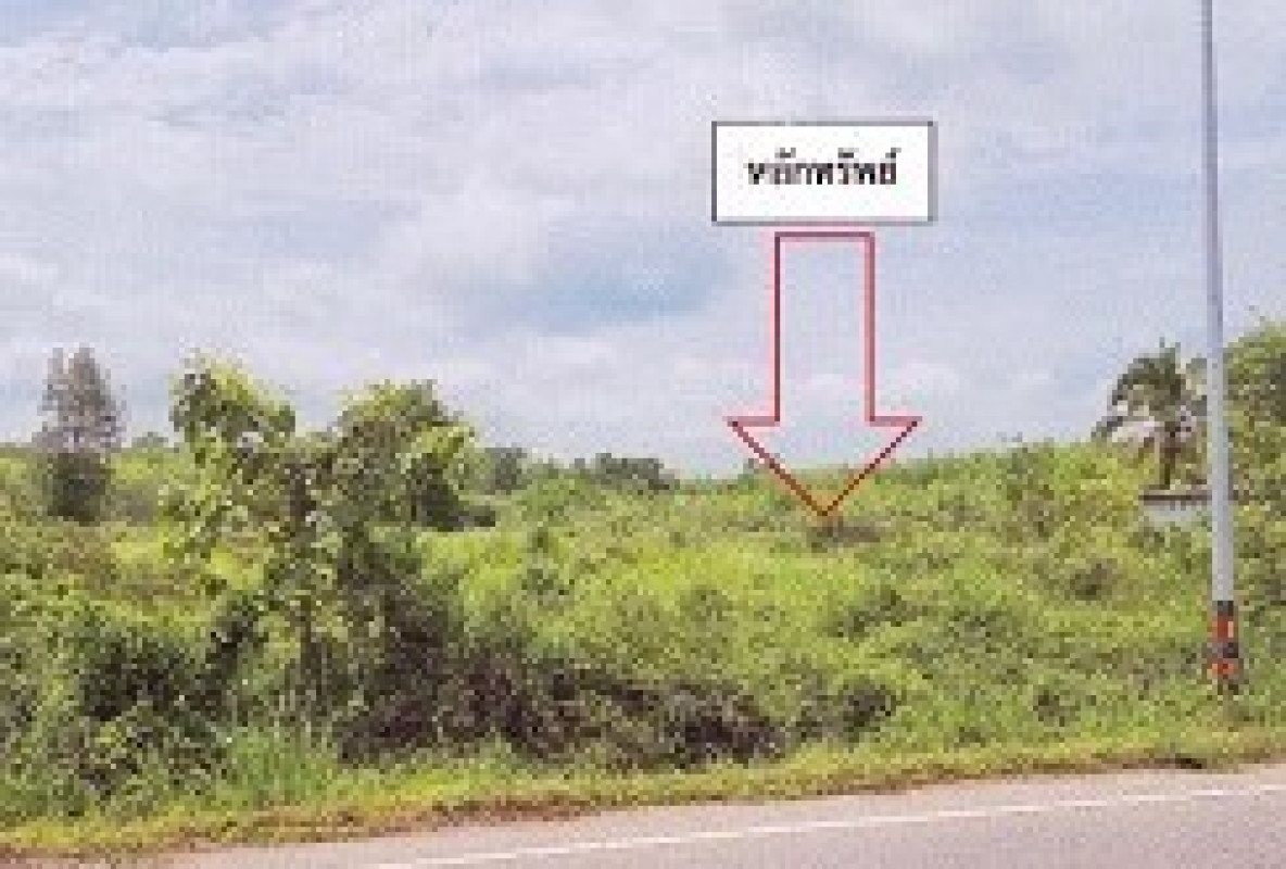Residential land/lot Trang Kantang Khlong Chilom 806140