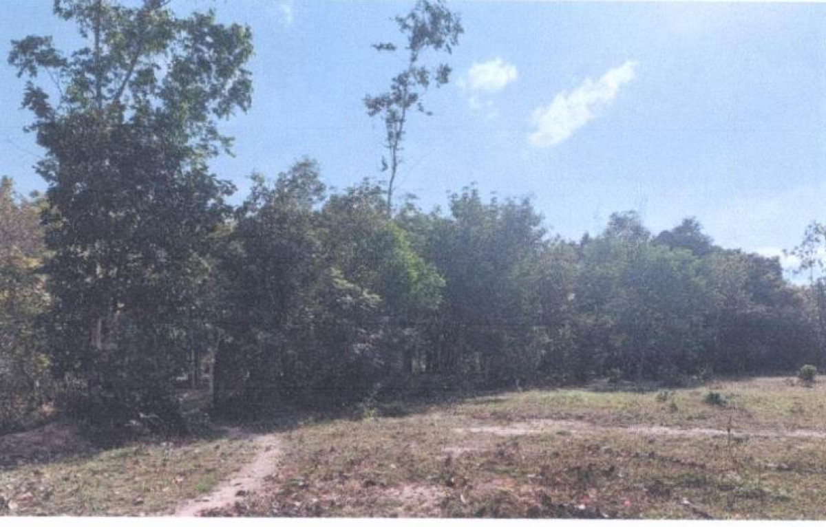 Residential land/lot Ubon Ratchathani Khueang Nai Hua Don 1041900