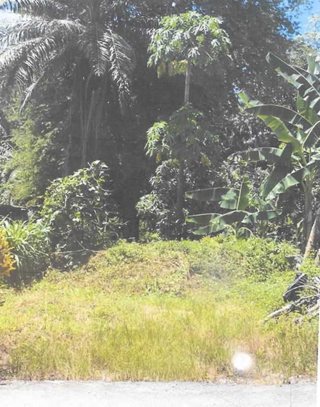 Residential land/lot Krabi Khlong Thom Khlong Thom Tai 544000