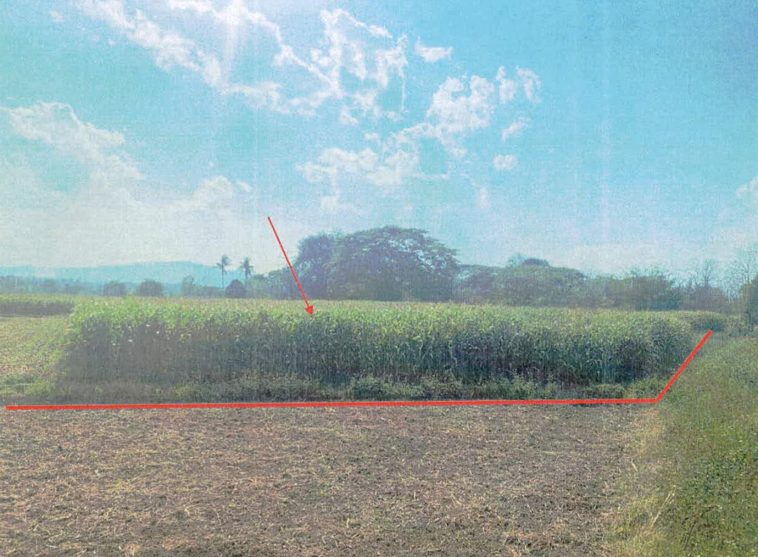 Residential land/lot Lampang Ngao Ban Pong 210000