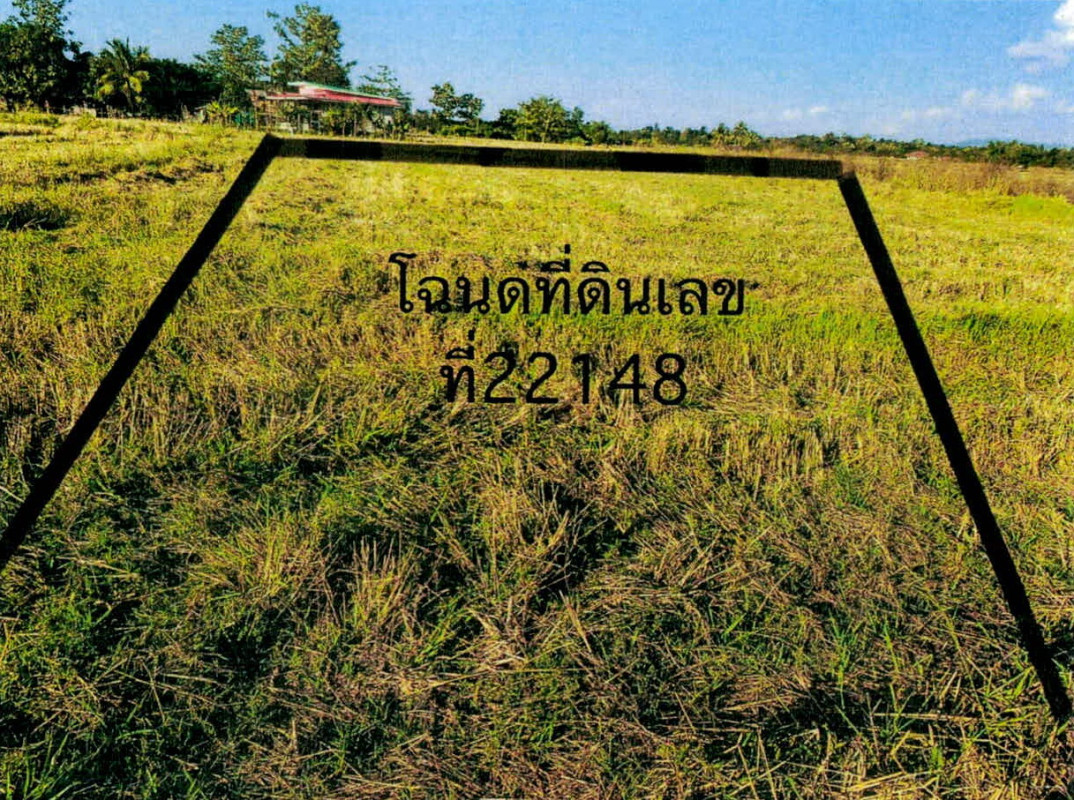 Residential land/lot Lampang Mae Tha Nam Cho 111500