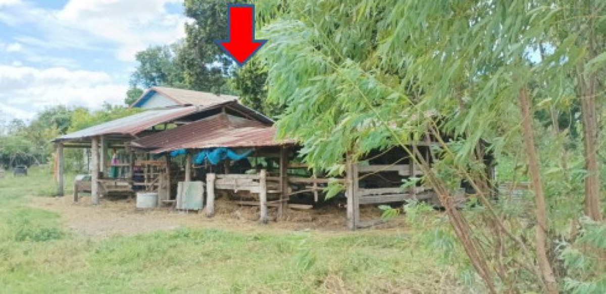 บ้านเดี่ยว อุบลราชธานี สำโรง ค้อน้อย 159000
