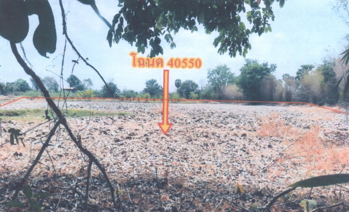 Residential land/lot Ubon Ratchathani Trakan Phuet Phon Kusakon 720120