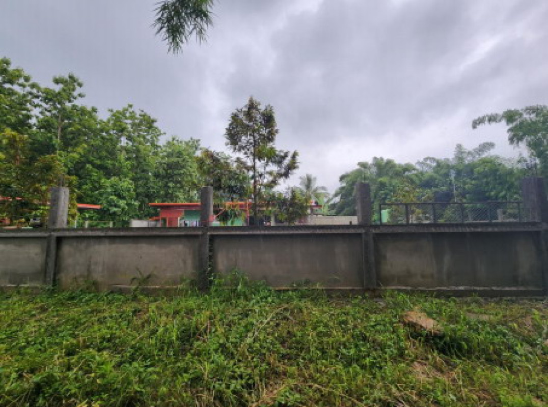 Single house Chiang Rai Wiang Kaen Muang Yai 711760