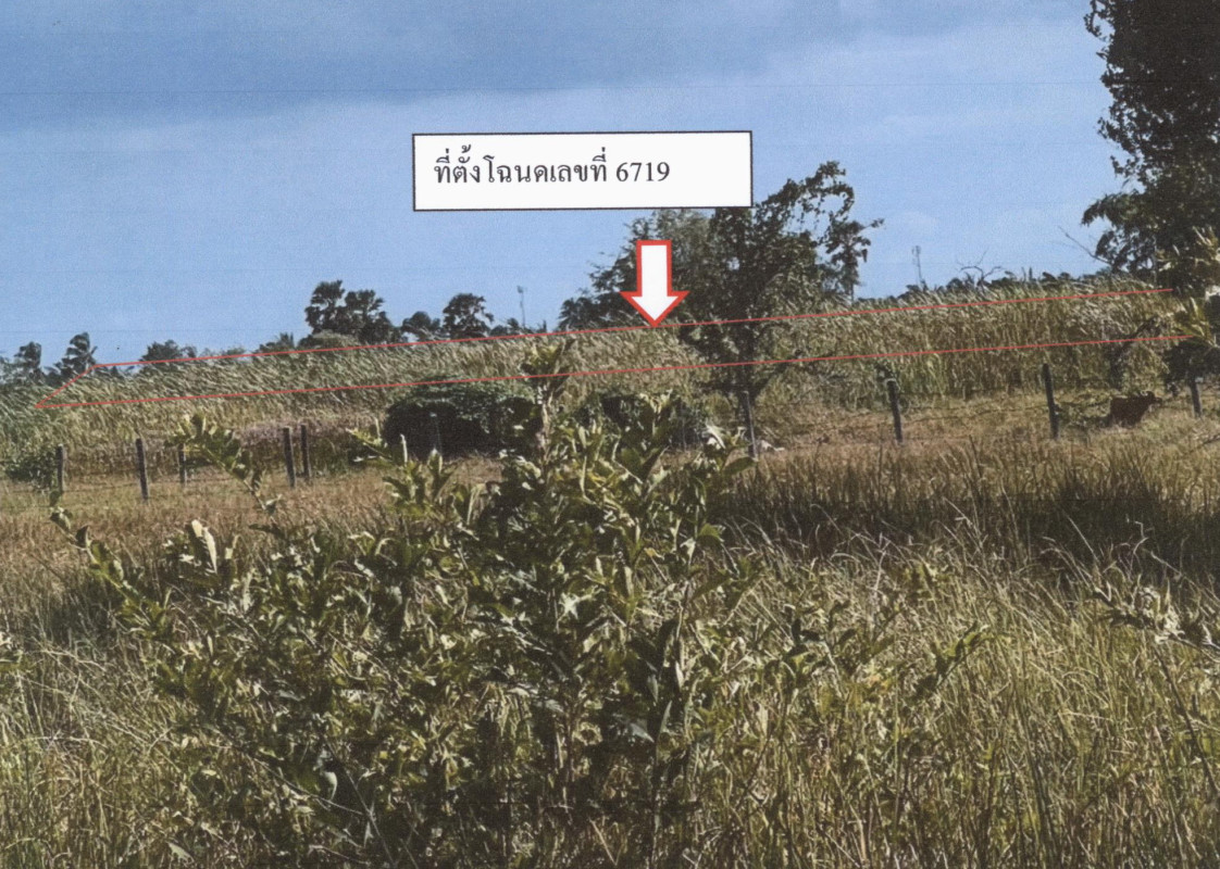 ที่ดินเปล่า ประจวบคีรีขันธ์ สามร้อยยอด ศิลาลอย 96000